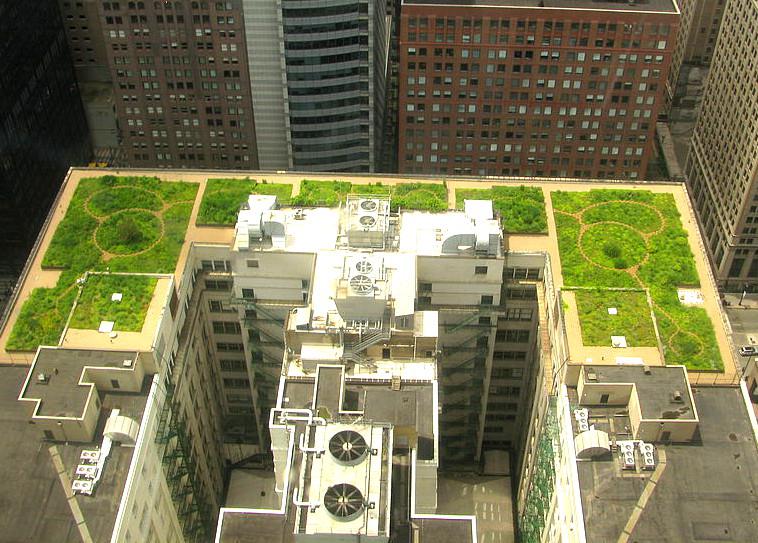 800px-20080708-chicago-city-hall-green-roof_758x543.jpg
