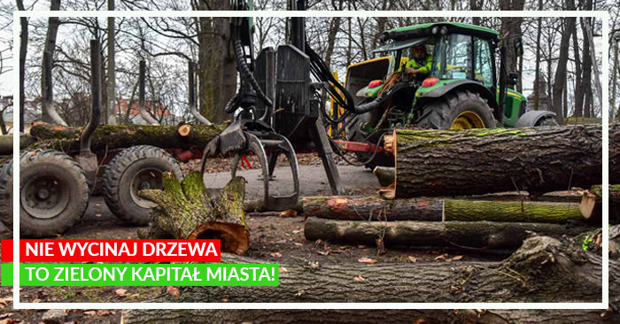 20210513_Badanie drzew w Krakowie.png